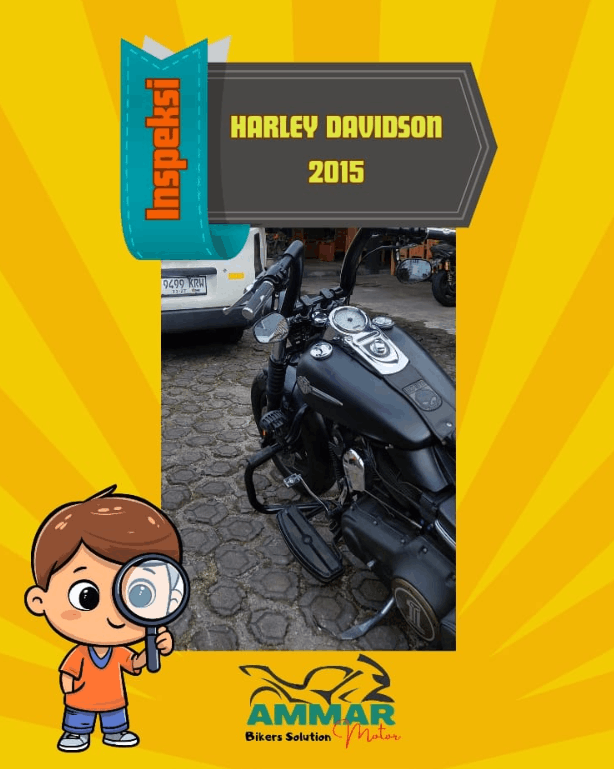 Harley Davidson Series